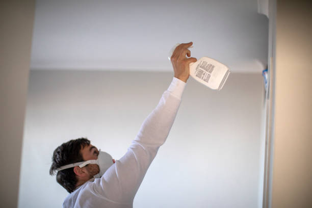 Best Residential Mold Removal  in Kahului, HI