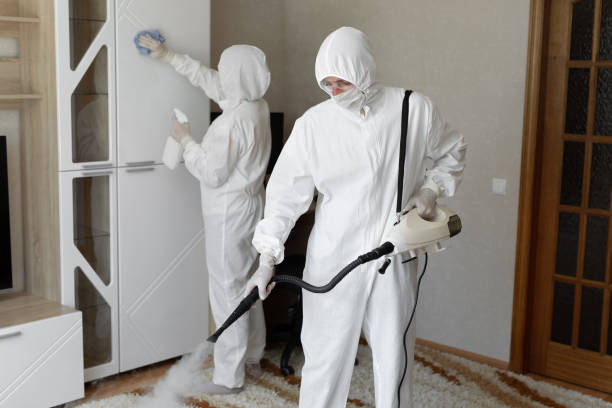 Mold Testing and Removal in Kahului, HI